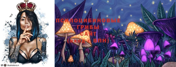 стаф Надым