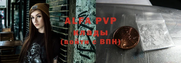 стаф Надым